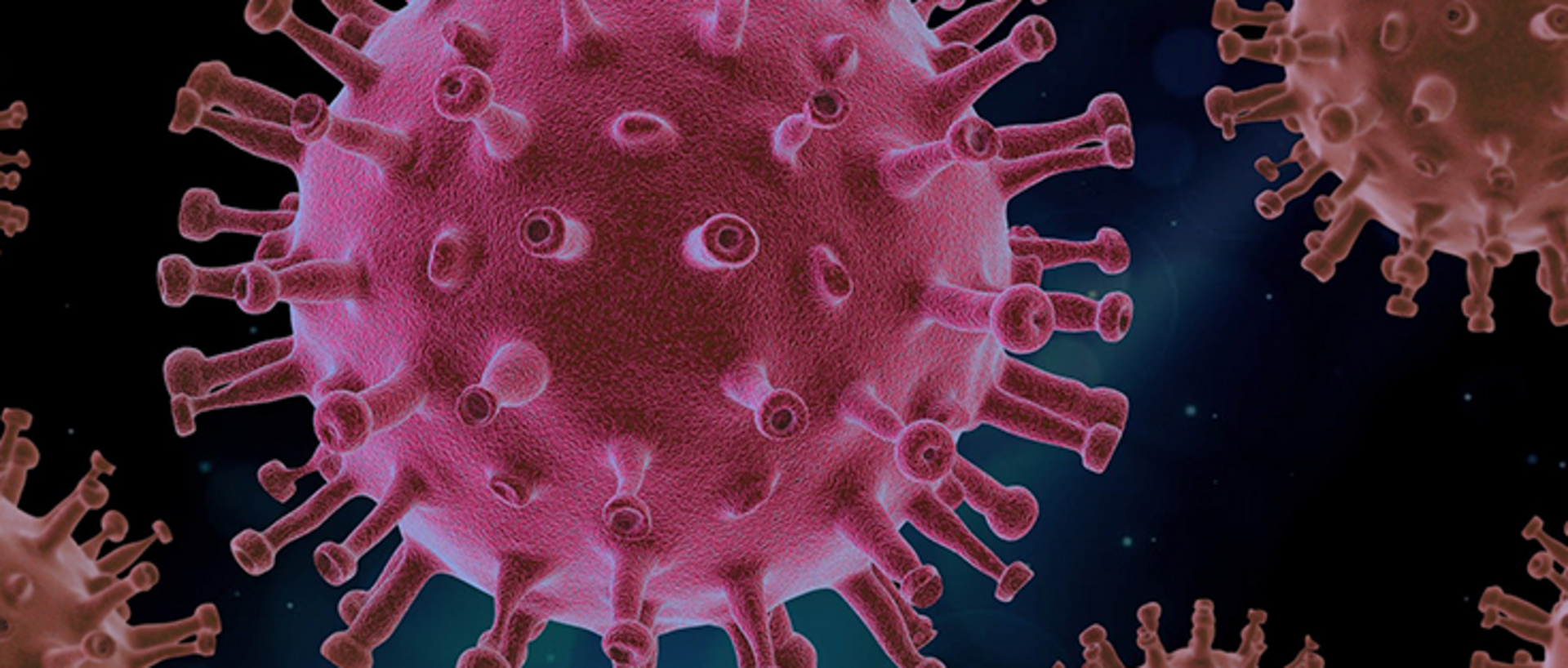 Simulation des Coronavirus