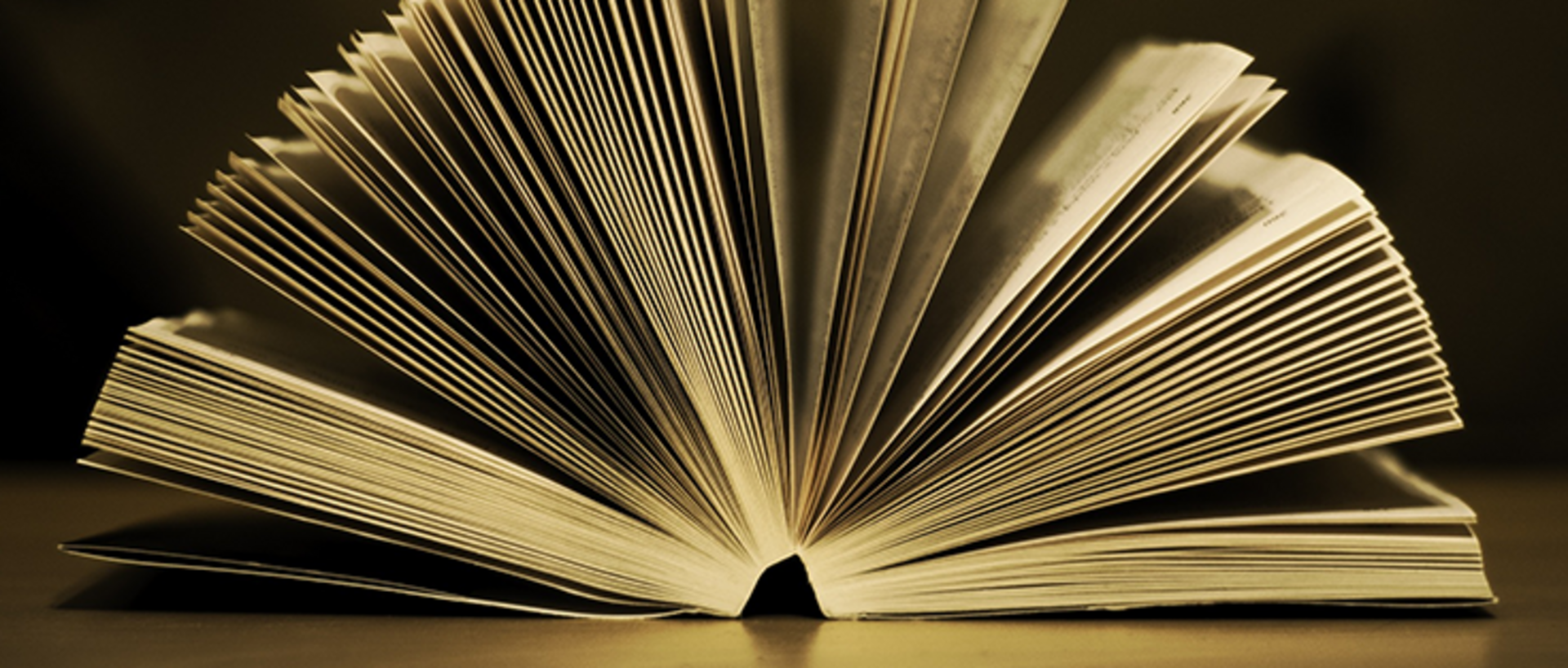 Aufgeschlagenes Buch