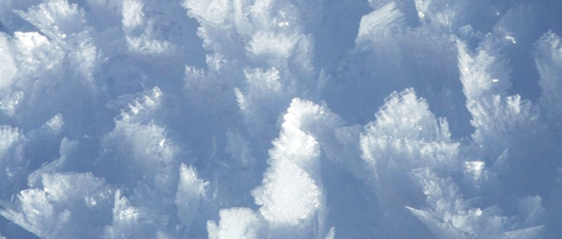 Schnee in Nahaufnahme