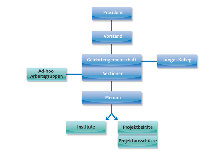 Das Organigramm bildet die im vorangehenden Text beschriebene Struktur der Akademie grafisch ab.