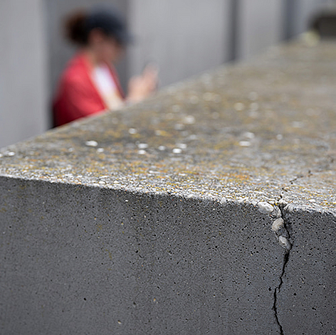 © dpa/Hannes P. Albert