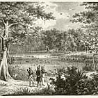 Zeichnung eines Vogelteichs am Rio Sao Francisco, 1817