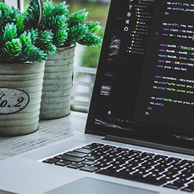 Laptob mit HTML-Code steht neben Zimmerplanzen auf dem Schreibtisch