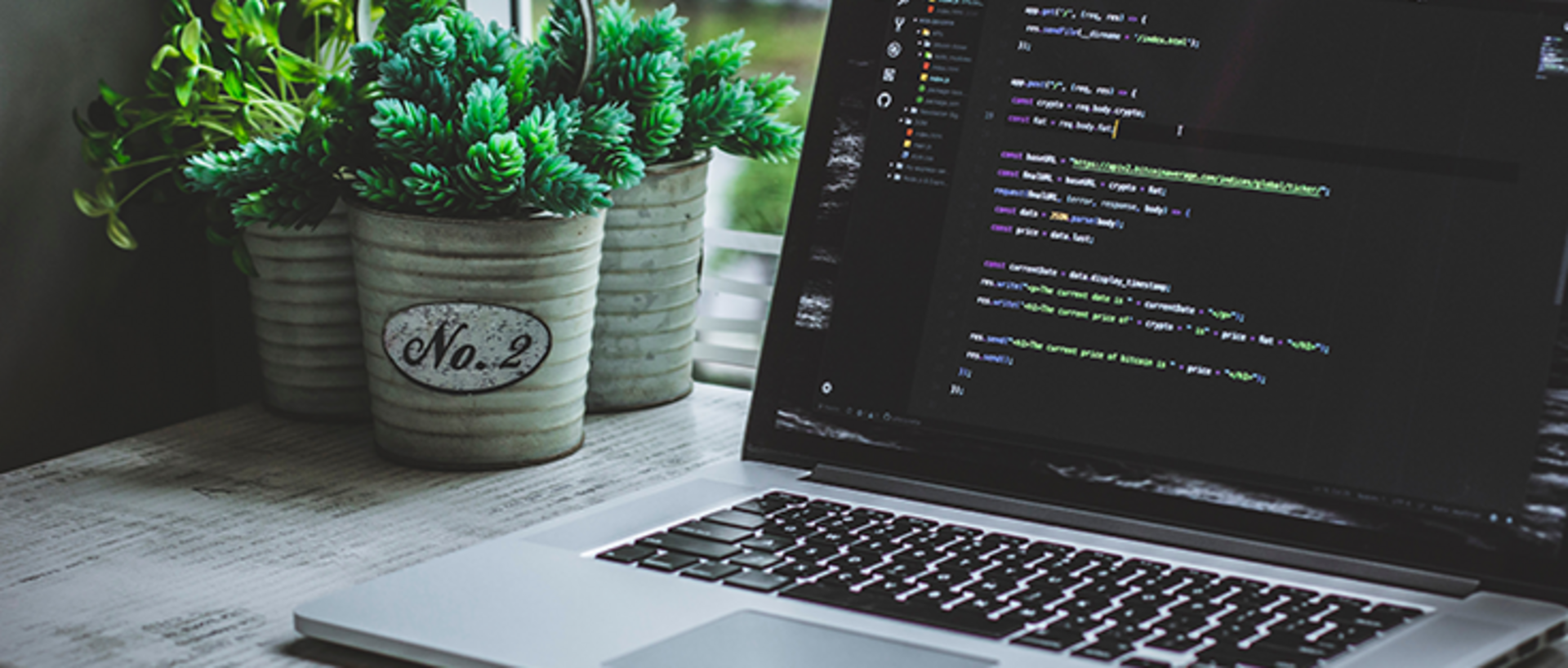 Laptob mit HTML-Code steht neben Zimmerplanzen auf dem Schreibtisch