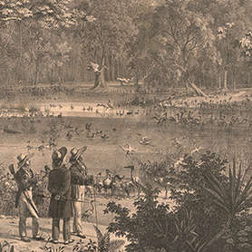 Kupferstich "Vögel-Teich am Rio de S. Francisco" aus der Publikation "Atlas zur Reise in Brasilien von Dr. v. Spix und Dr. v. Martius"