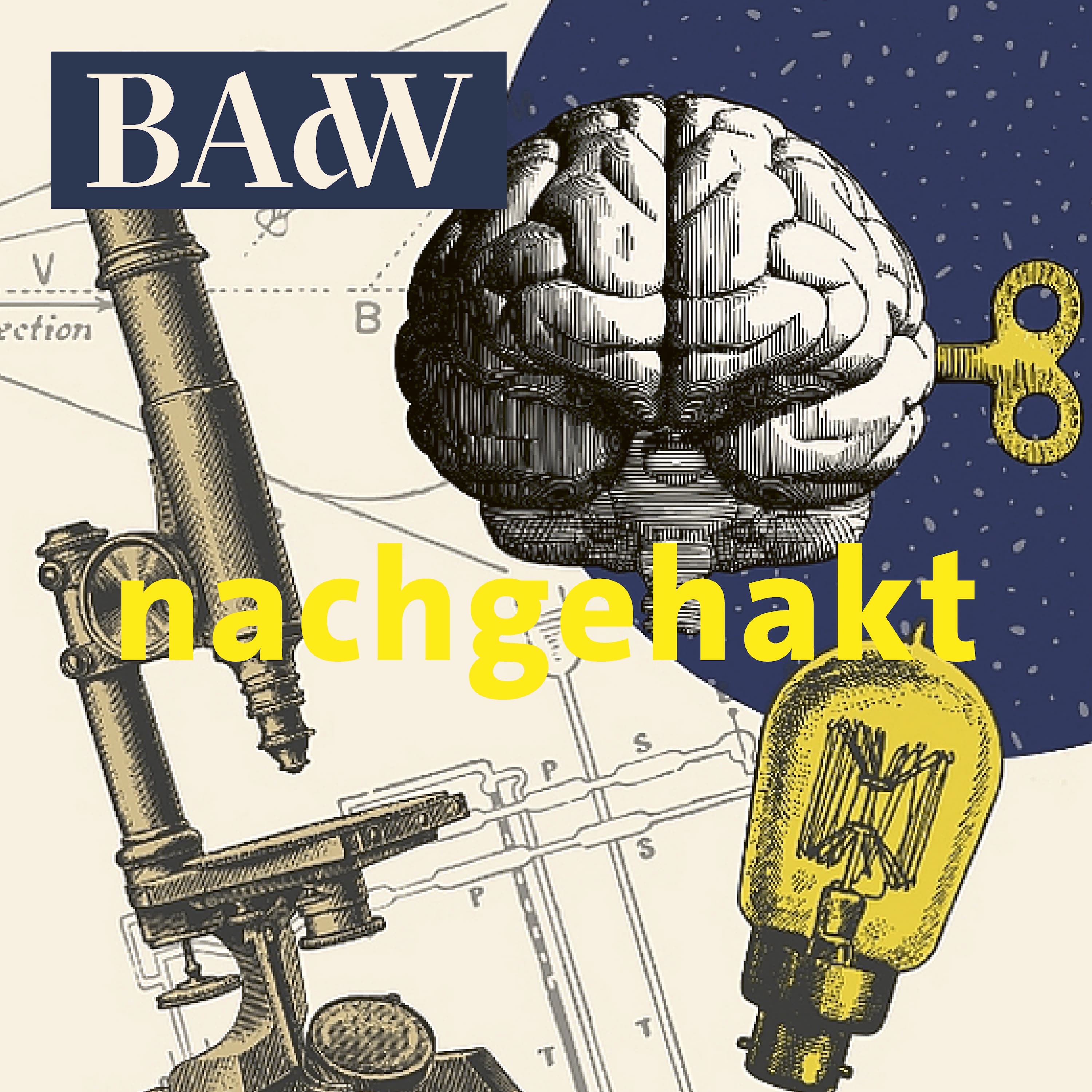 Podcast Image