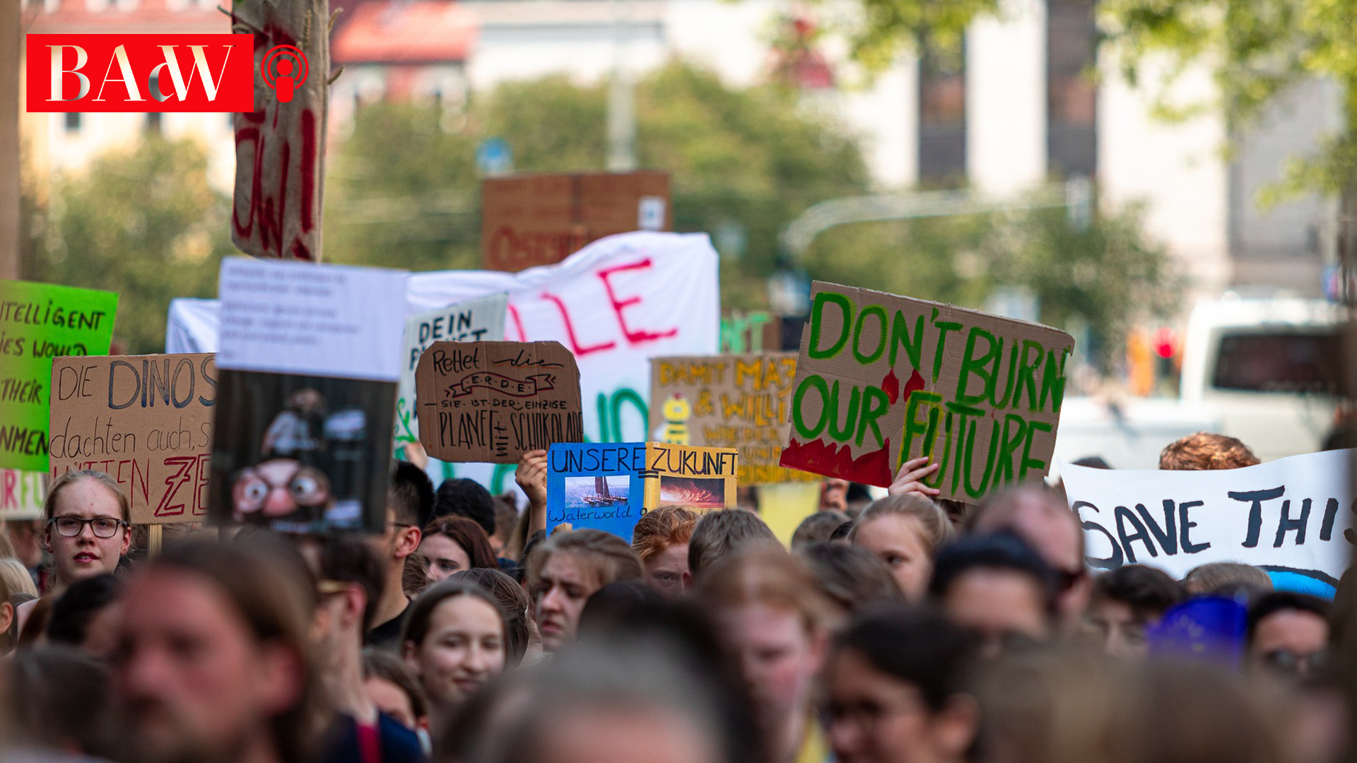 Demonstration von Fridays for Future