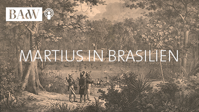 Im Podcast beschriebene Darstellung