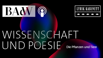 Wissenschaft und Poesie Symbolbild