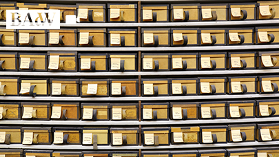 Zettelkästen im Thesaurus